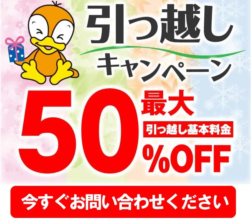 キャンペーン情報